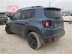 جيب رينيجيد